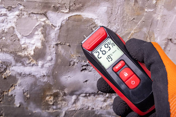 Best Residential Mold Remediation in Pacolet, SC